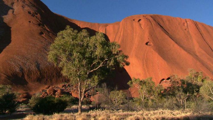 Постер Australien: Opale, Rinder, Nationalparks