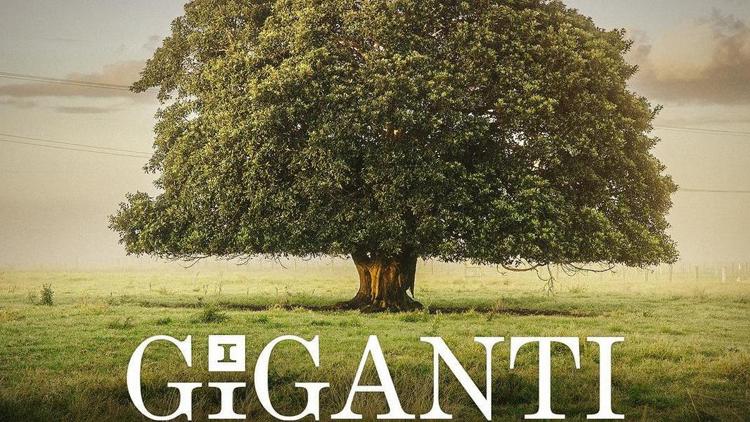 Постер I Giganti