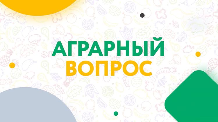 Постер Аграрный вопрос