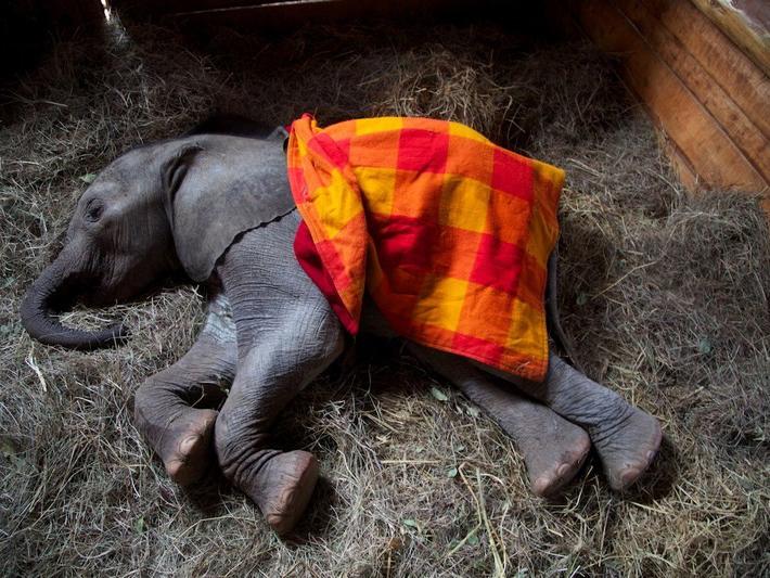 Хранители Эдема (hraniteli-edema) Документальный фильм