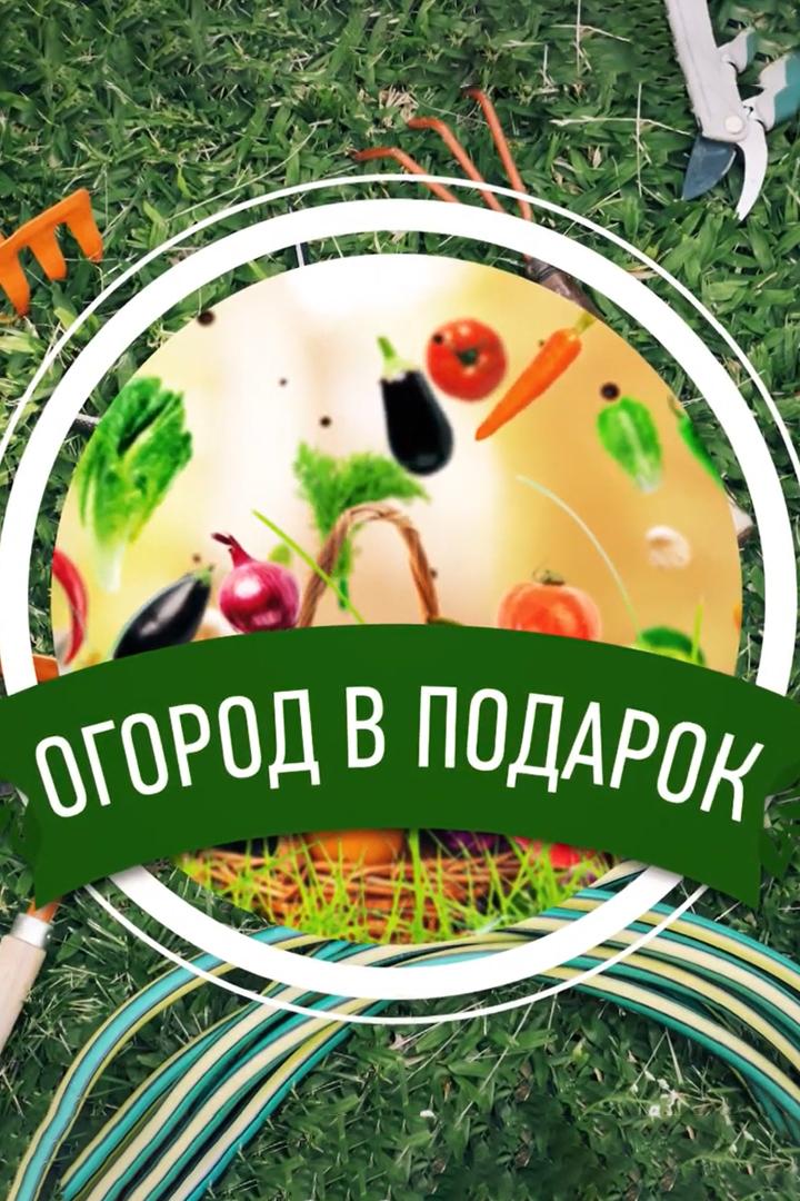 Огород в подарок (ogorod-v-podarok) Досуг, хобби