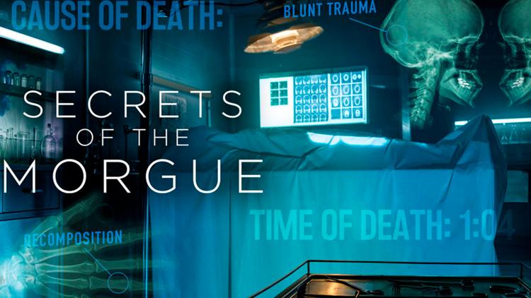 Постер Secrets of the Morgue