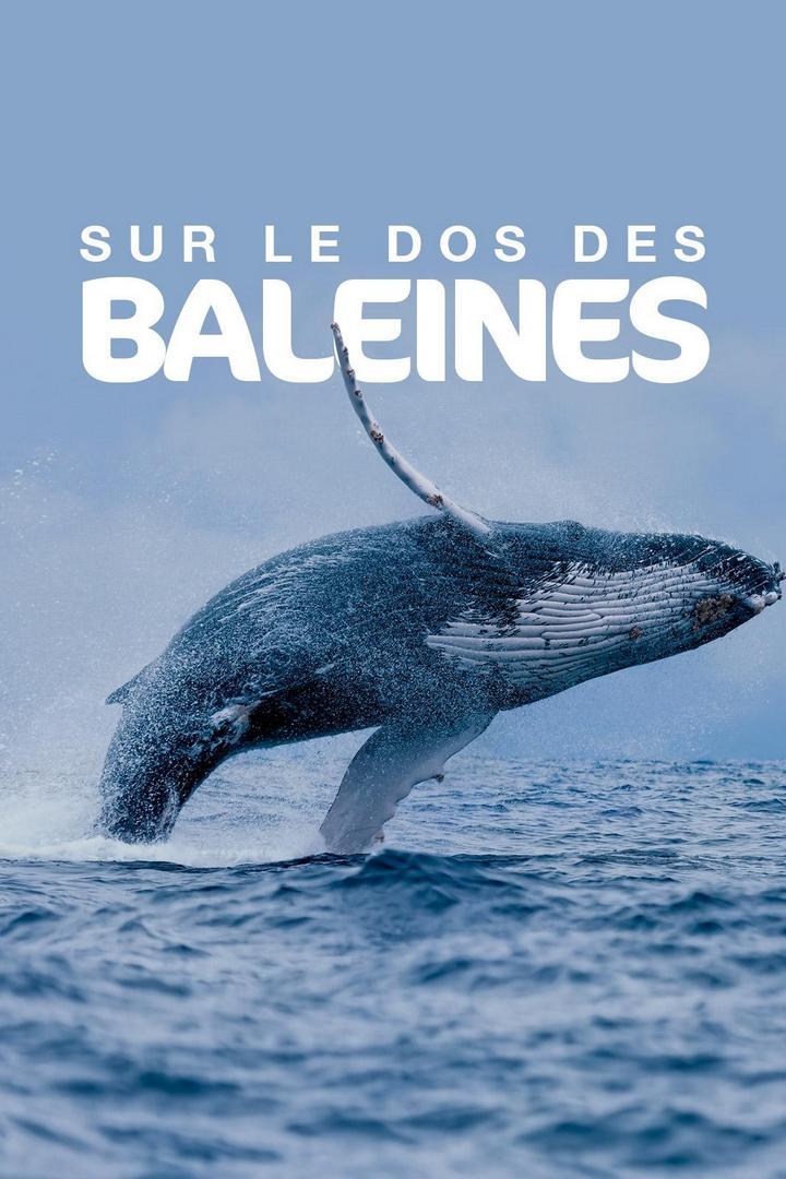 Sur le dos des baleines (sur-le-dos-des-baleines) Документальный фильм