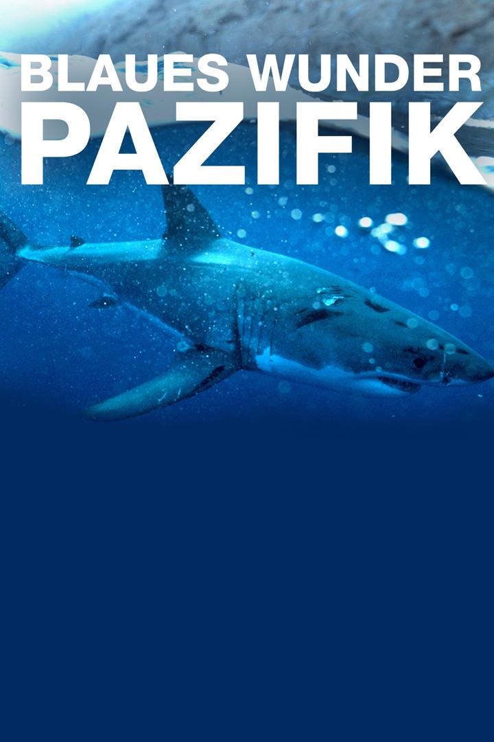 Blaues Wunder Pazifik (blaues-wunder-pazifik) Документальный фильм