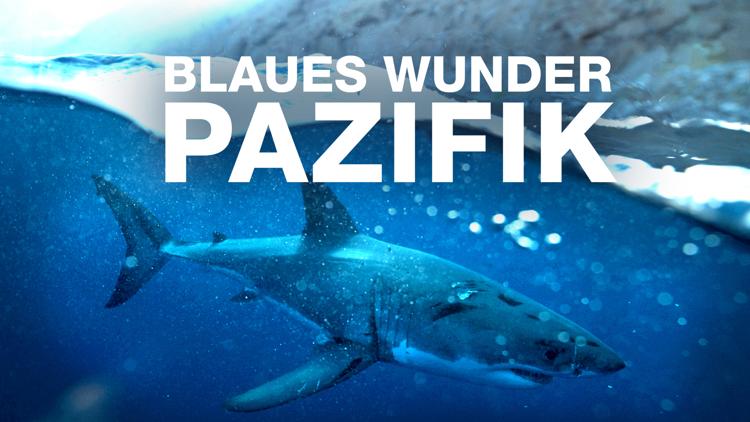 Постер Blaues Wunder Pazifik