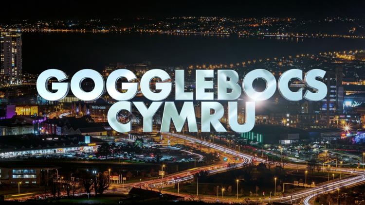 Постер Gogglebocs Cymru