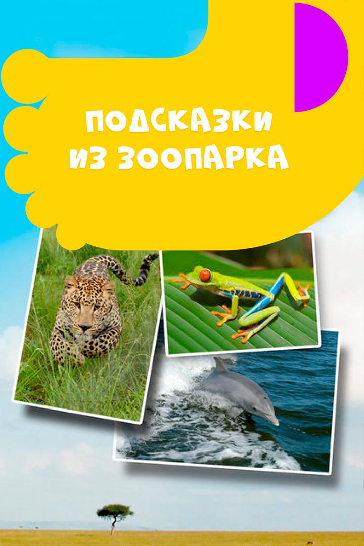 Подсказки из зоопарка (podskazki-iz-zooparka) Познавательное