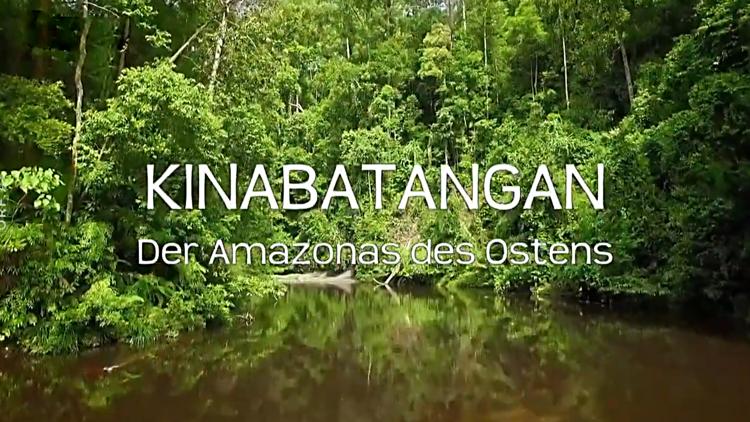 Постер Kinabatangan-Der Amazonas des Ostens