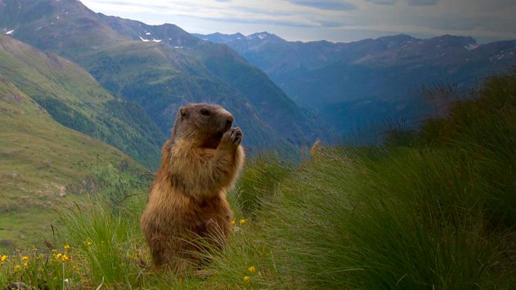 Постер Naturparadiese mit Zukunft