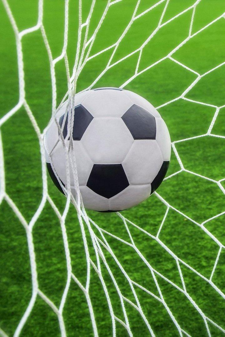 Как коты играют в футбол (kak-koty-igrajut-v-futbol) Досуг, хобби