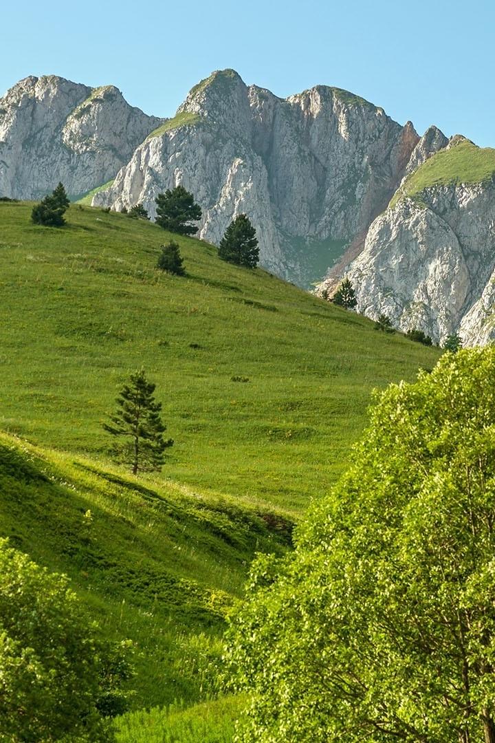 Горный лес Босния и Герцеговина (gornyj-les-bosnija-i-gertsegovina) Досуг, хобби