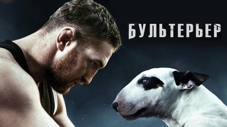 Постер Бультерьер