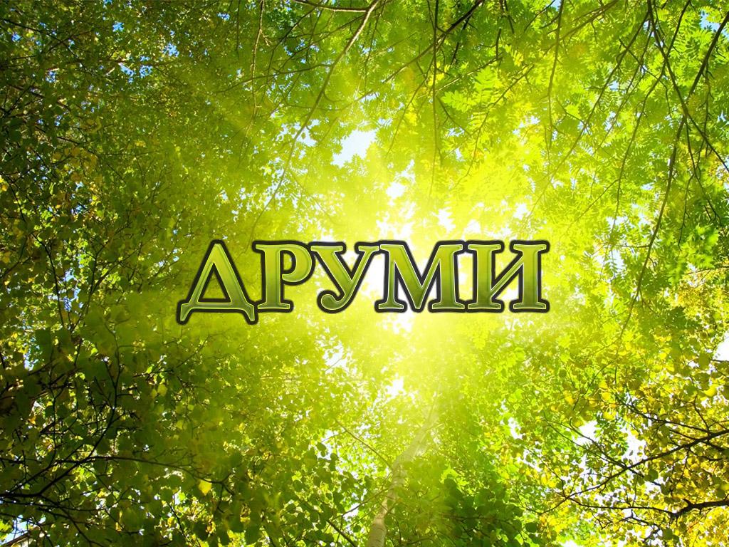 Друми (drumi) Документальный сериал