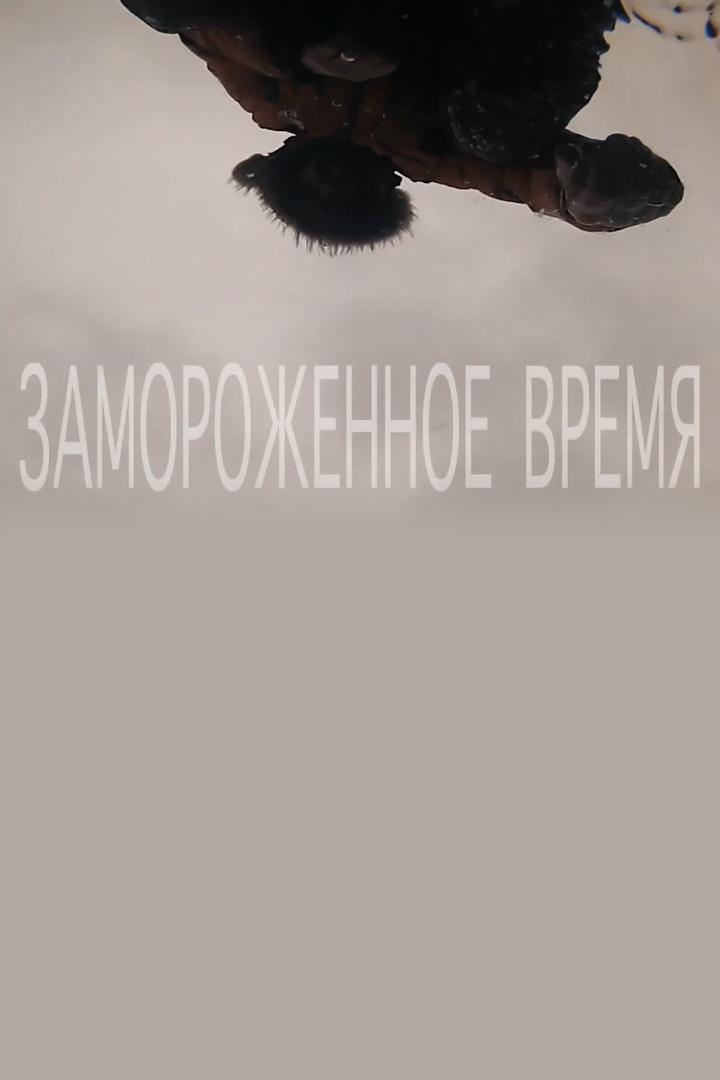 Замороженное время (zamorozhennoe-vremja) Документальный фильм