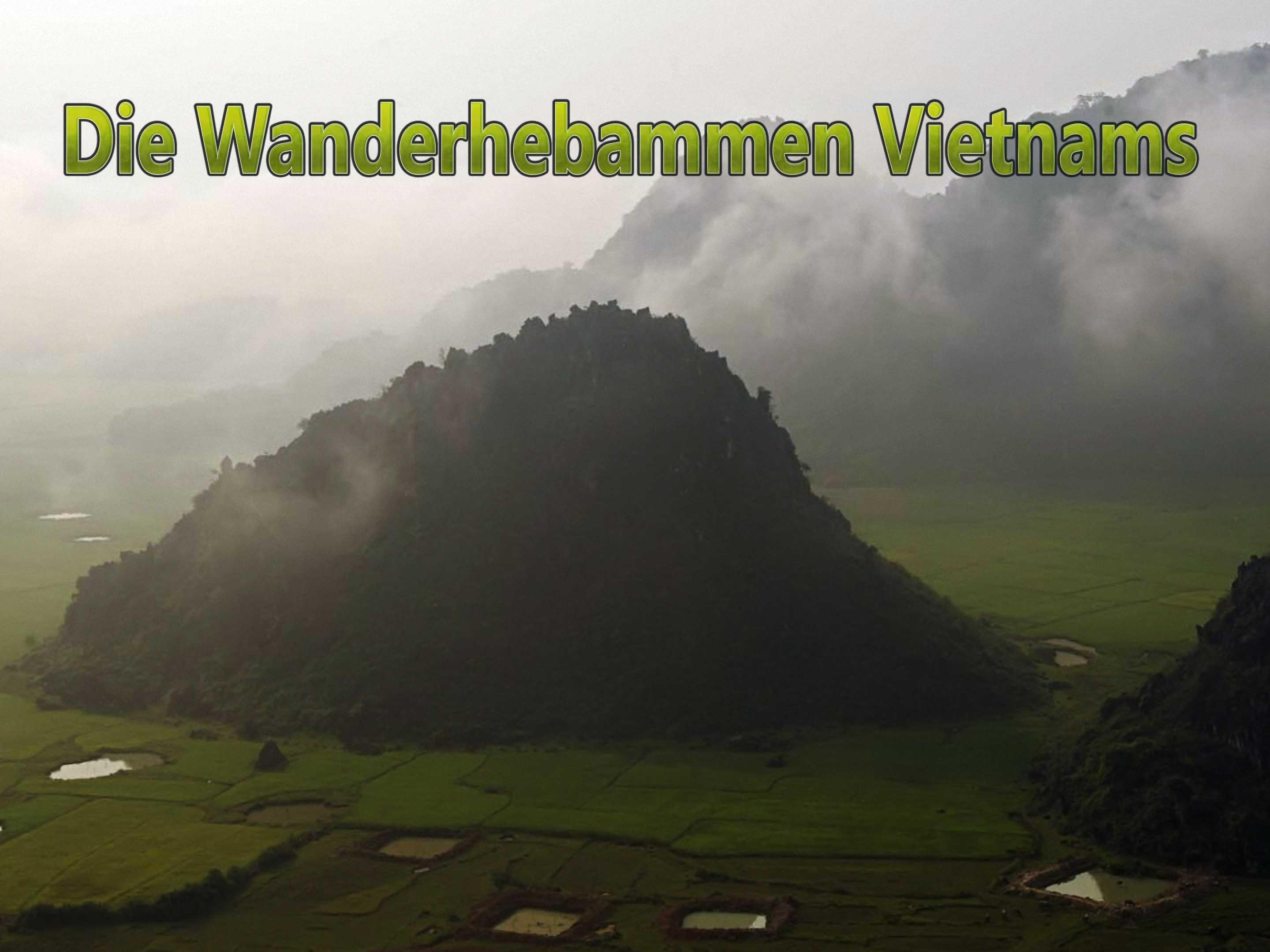 Die Wanderhebammen Vietnams (die-wanderhebammen-vietnams) Документальный фильм