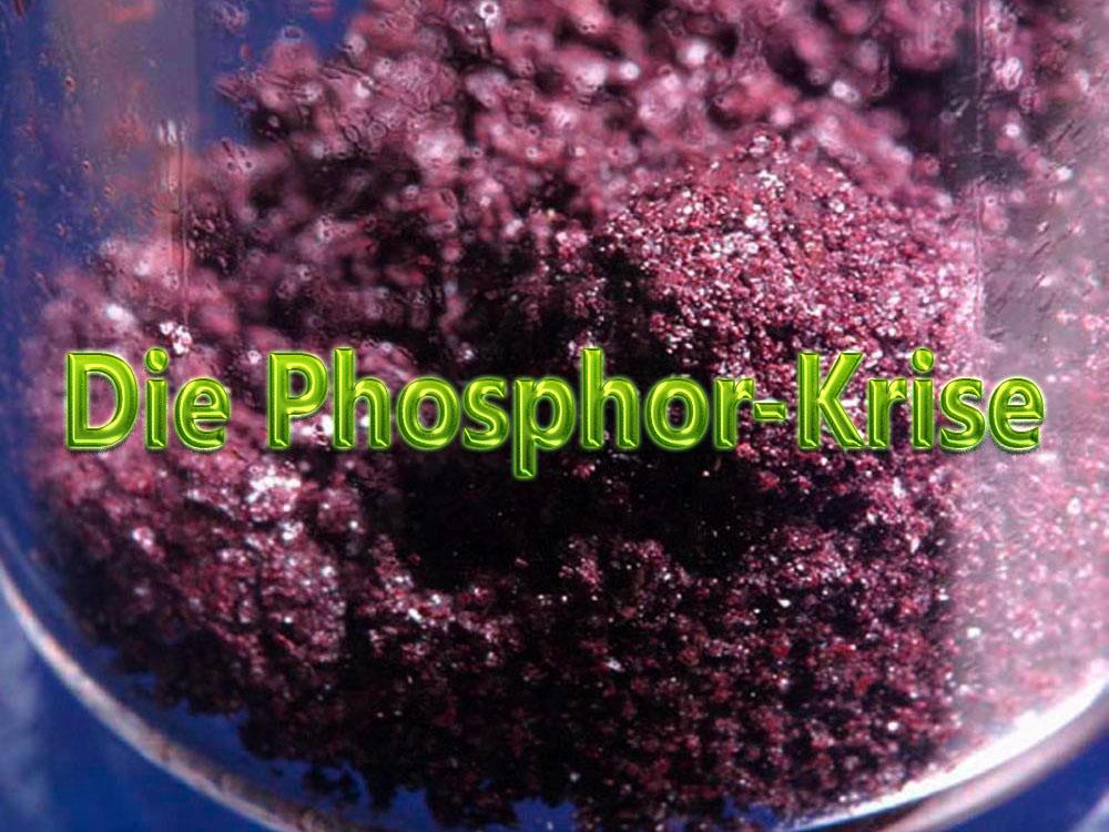 Die Phosphor-Krise (die-phosphor-krise) Документальный фильм