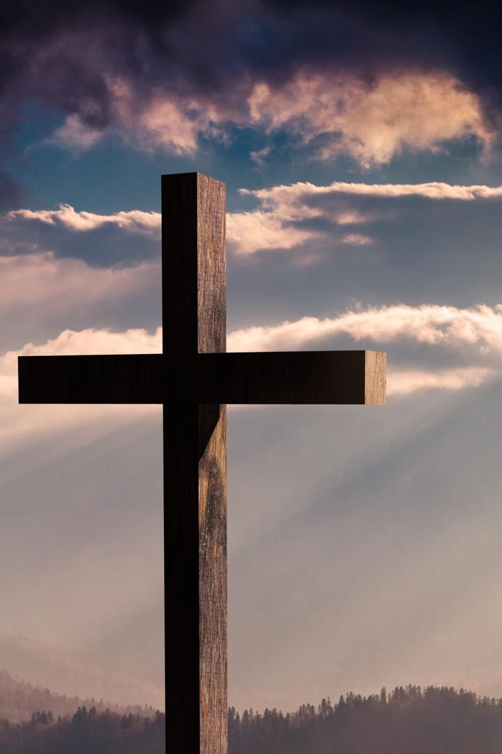 Jesus living in Mary - The spirituality of Saint Louis Marie de Montfort (jesus-living-in-mary-the-spirituality-of-saint-louis-marie-de-montfort) Документальный фильм