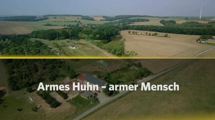 Постер Armes Huhn - armer Mensch