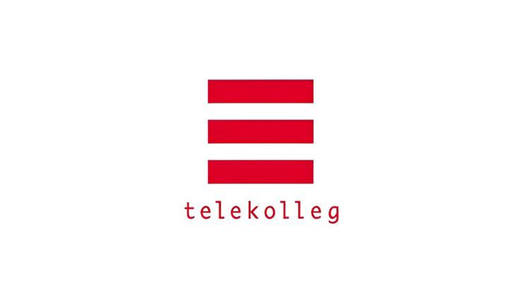 Постер Telekolleg Politik und Gesellschaft