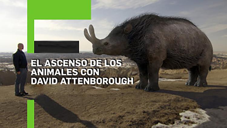 Постер El ascenso de los animales con David Attenborough