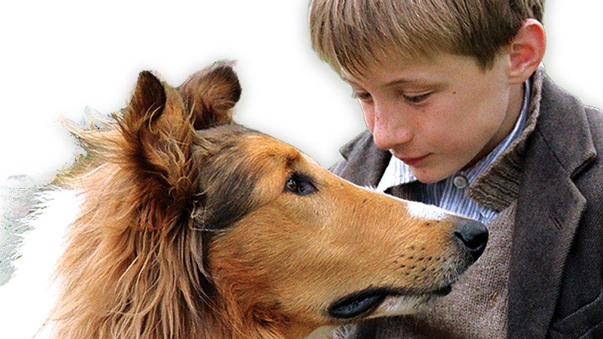Лэсси (lessi) Фильм 2005