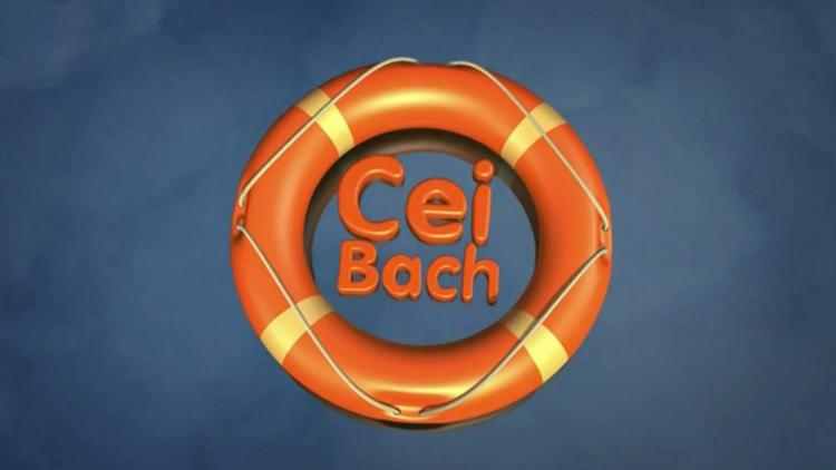 Постер Cei Bach