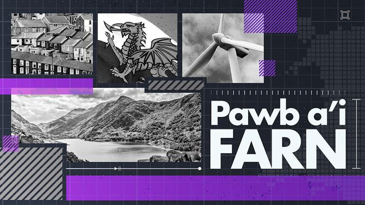 Постер Pawb a'i Farn