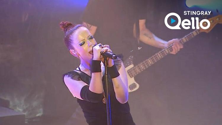 Постер Garbage: One Mile High...Live