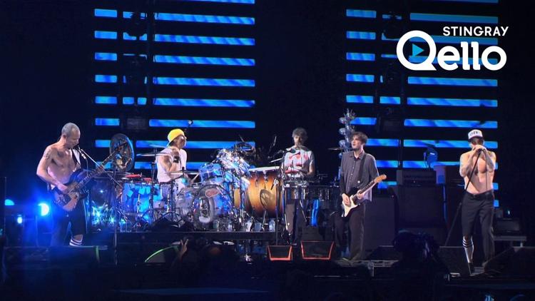 Постер Red Hot Chili Peppers: Bonnaroo Festival