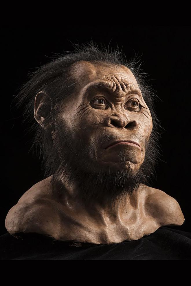 Monos como humanos? (monos-como-humanos) Документальный фильм
