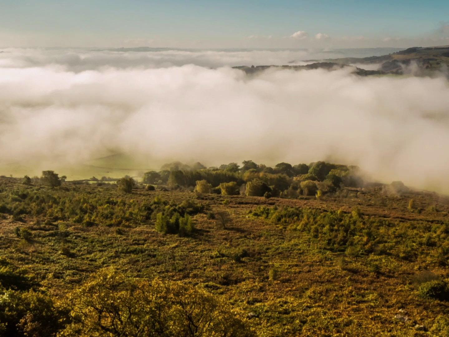 Британские времена года (britanskie-vremena-goda) Документальный фильм