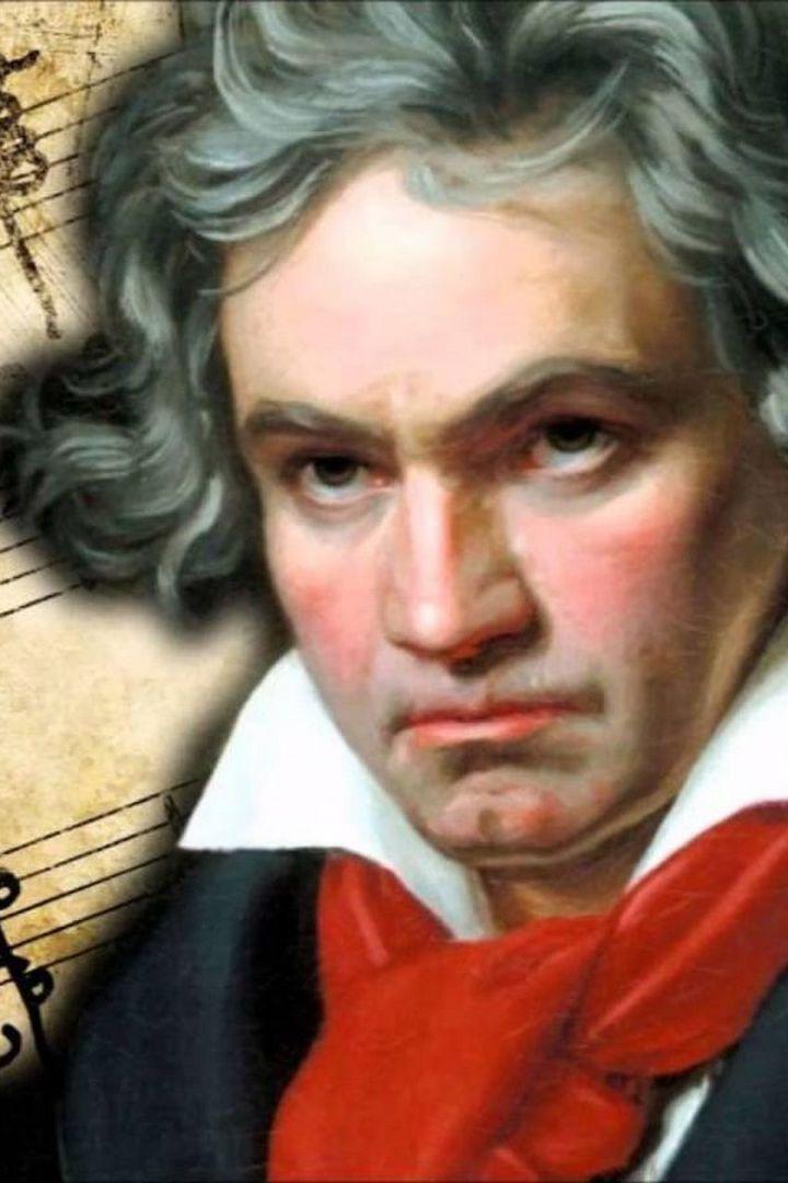 Beethoven - ein Konzert für Kinder (beethoven-ein-konzert-fr-kinder) Досуг, хобби