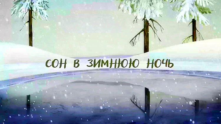 Постер Сон в зимнюю ночь