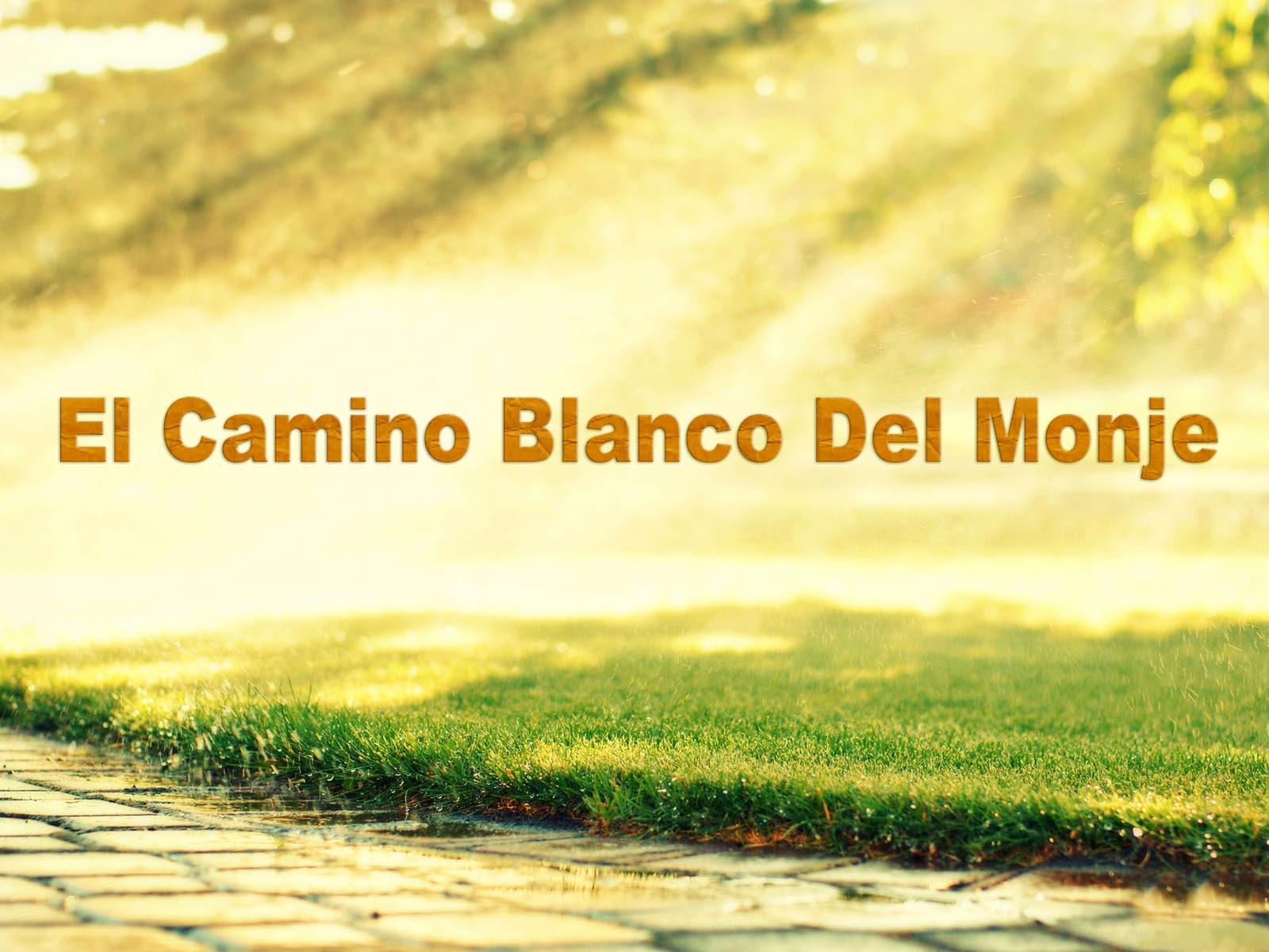 El Camino Blanco Del Monje (el-camino-blanco-del-monje) Документальный фильм