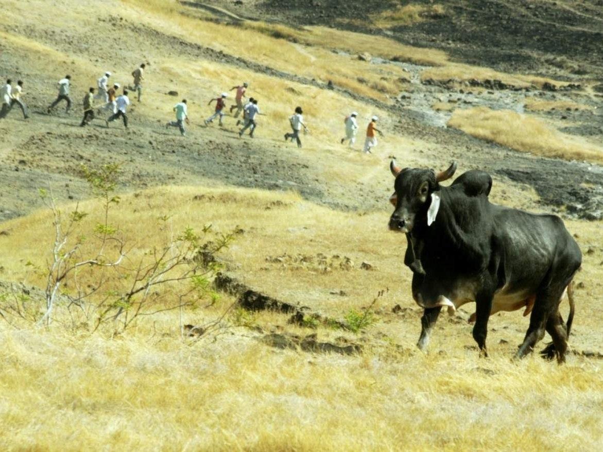 Суматоха (sumatoha) Фильм 2010