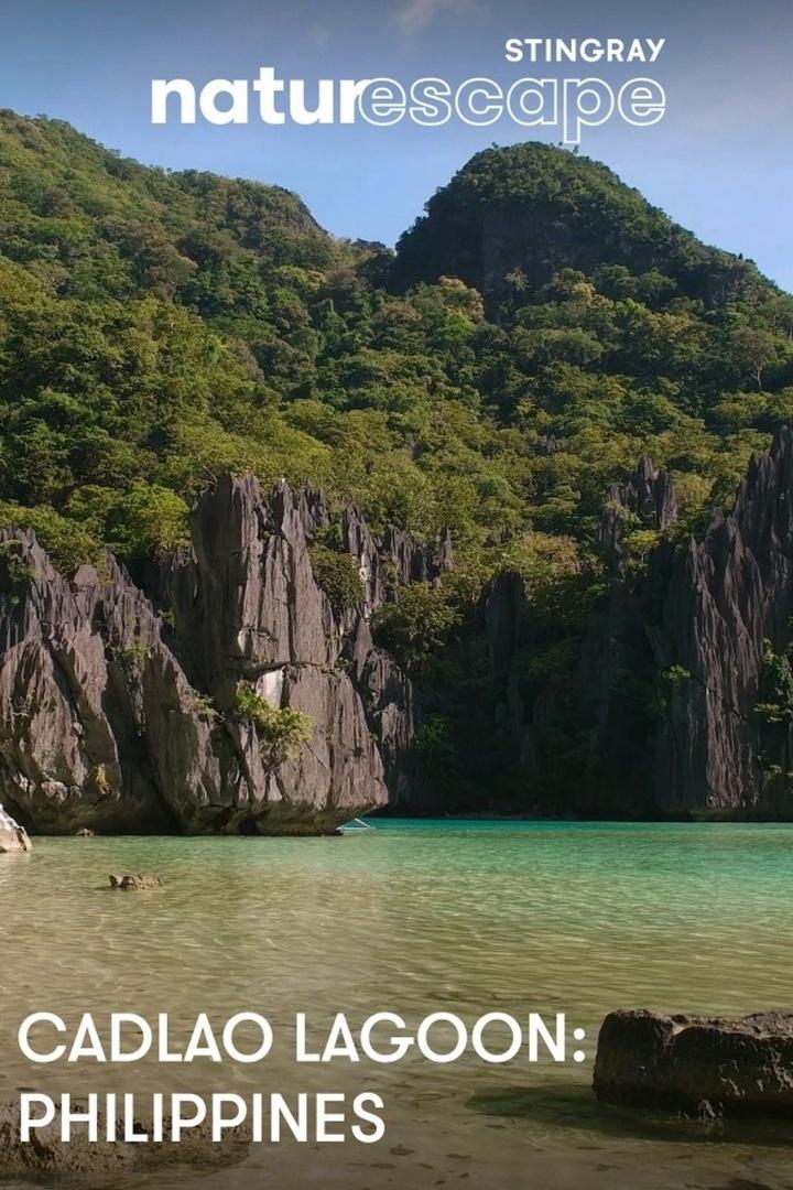 Лагуна Кадлао: Филиппины (laguna-kadlao-filippiny) Досуг, хобби
