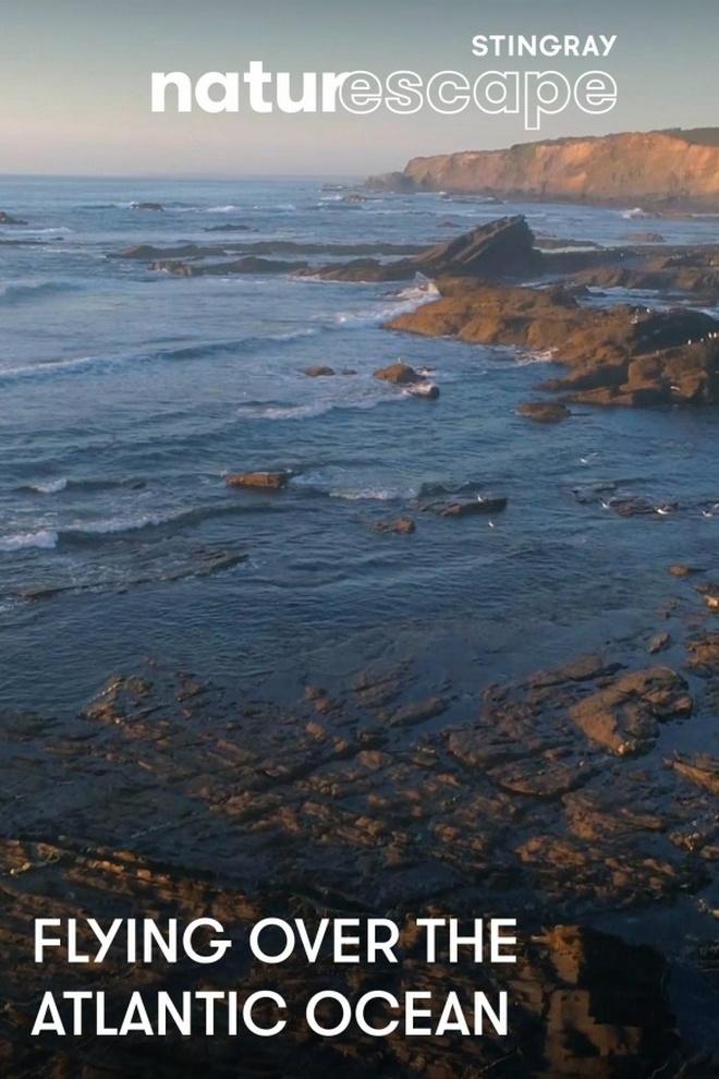 Полет над Атлантическим океаном (polet-nad-atlanticheskim-okeanom) Досуг, хобби