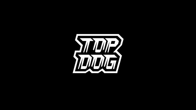 Постер Top Dog FC 14. Конференция