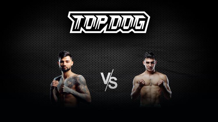 Постер Top Dog FC 8. Майк «Вооружённый» Стиценко vs Арут «Молодой» Хачатрян