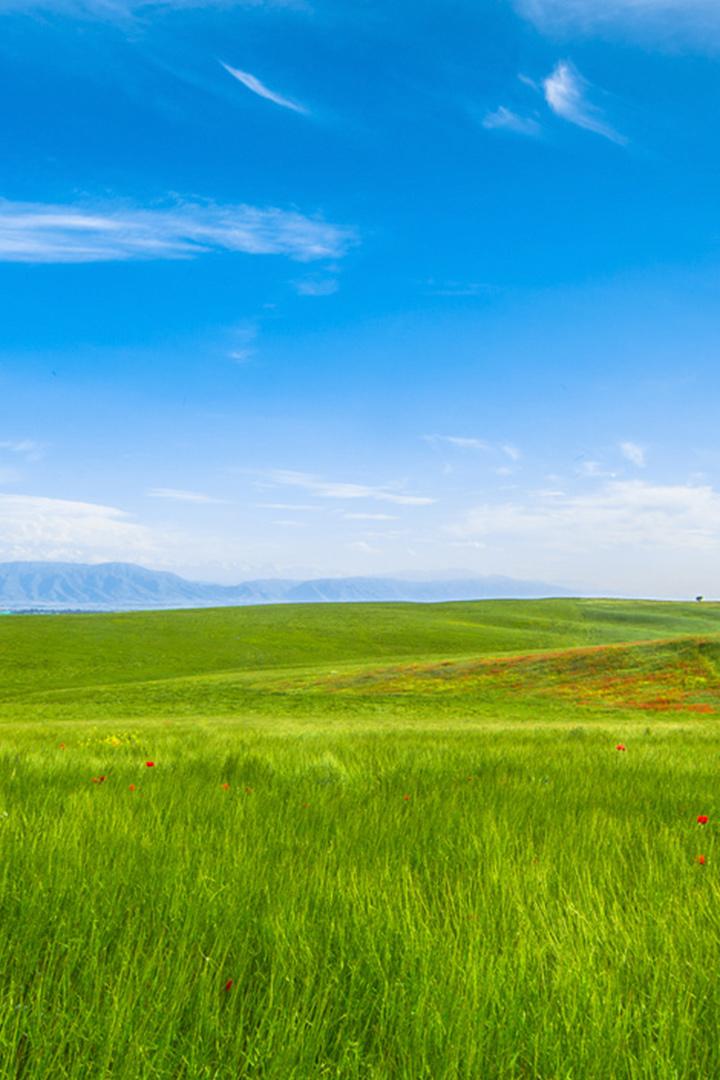 Край степей и гор (kraj-stepej-i-gor) Досуг, хобби