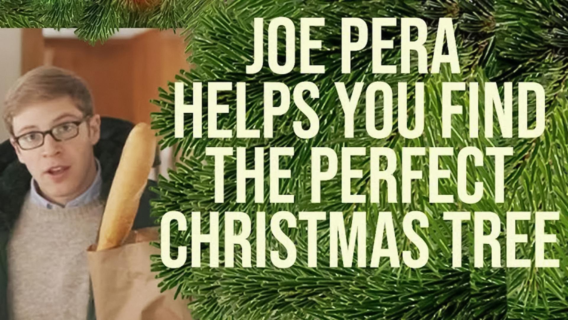 Joe Pera Helps You Find the Perfect Christmas Tree (joe-pera-helps-you-find-the-perfect-christmas-tree) Фильм 2016