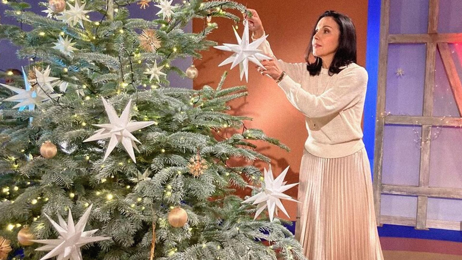 Wir sind Weihnachten! (wir-sind-weihnachten) ТВ-шоу