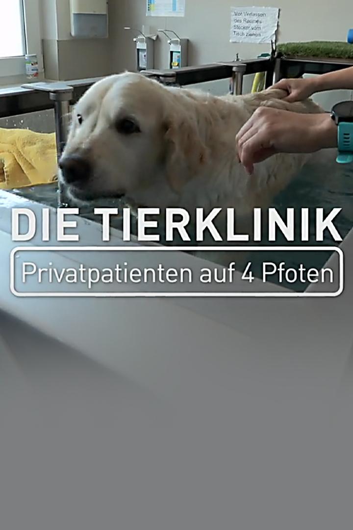 Die Tierklinik – Privatpatienten auf vier Pfoten (die-tierklinik-privatpatienten-auf-vier-pfoten) Документальный фильм
