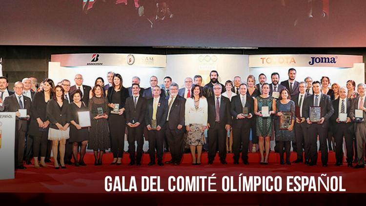 Постер Gala del Comité Olímpico Español