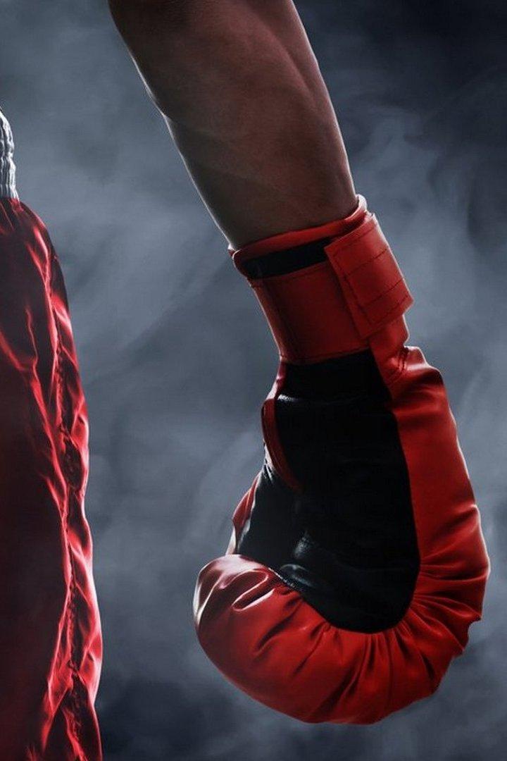 MMA Fanatics. Итоги года (mma-fanatics-itogi-goda) Досуг, хобби