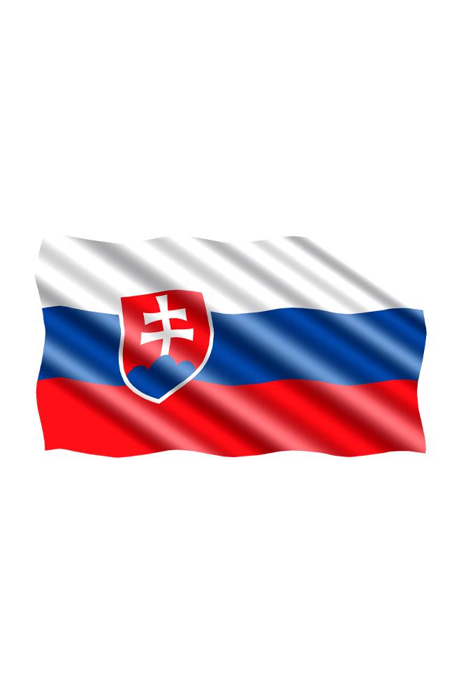 30 rokov samostatnej SR v regiónoch (30-rokov-samostatnej-sr-v-reginoch) Познавательное
