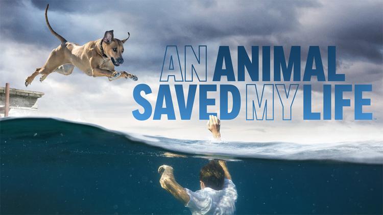 Постер An Animal Saved My Life