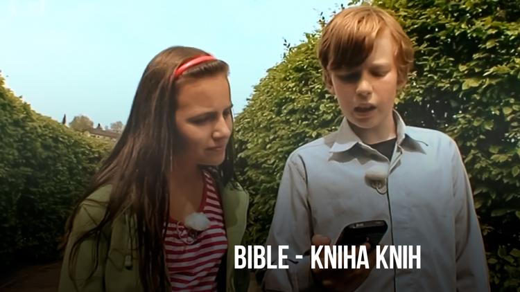 Постер Bible - kniha knih