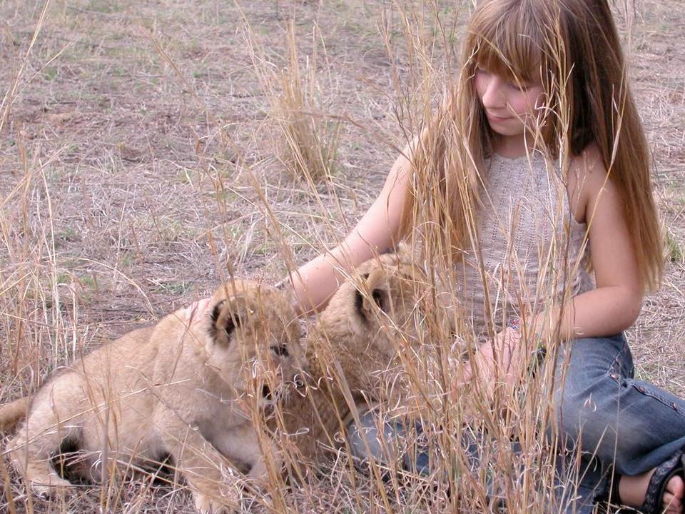 Les voyages extraordinaires de Tippi (les-voyages-extraordinaires-de-tippi) Документальный сериал