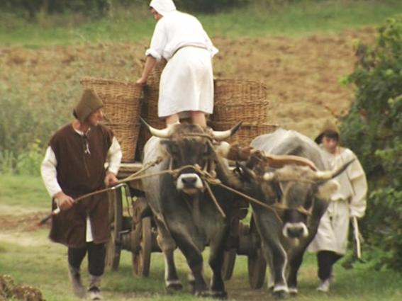 Средние века (srednie-veka) Документальный сериал